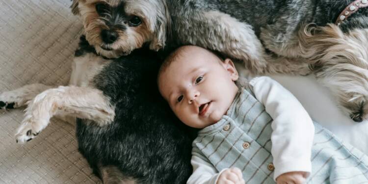 EAttachments89855850fa85edffbb6a7f6c1054958d76a3eae xl