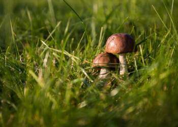 EAttachments89861712c4e583682c2bba84f129da851aa6e37 xl