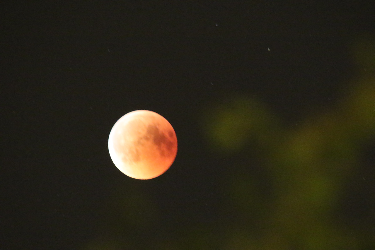 Już niedługo całkowite zaćmienie Księżyca. Kiedy będzie można je obserwować?