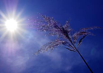 drought 5226296 1280