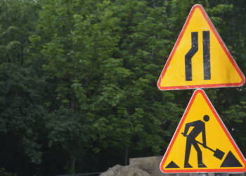 dsc0478 2025 07 31 113528