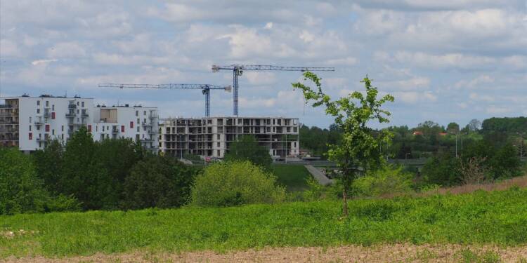 img 20210520 141047 2023 02 27 190415