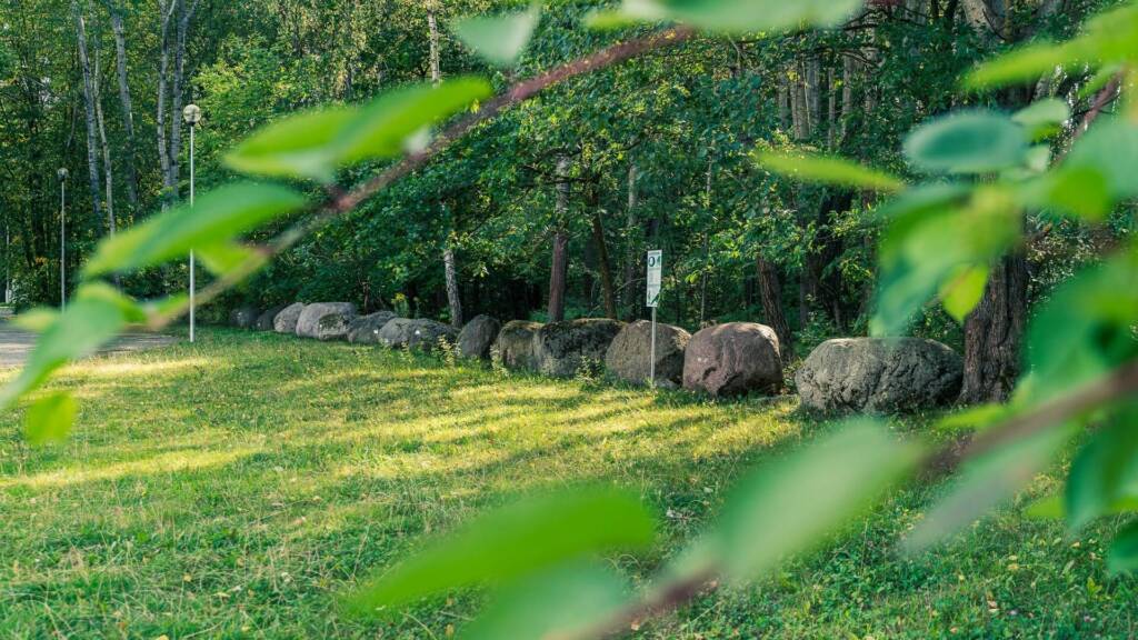 W kampusie UwB powstanie Park Bioróżnorodności 1 kampus