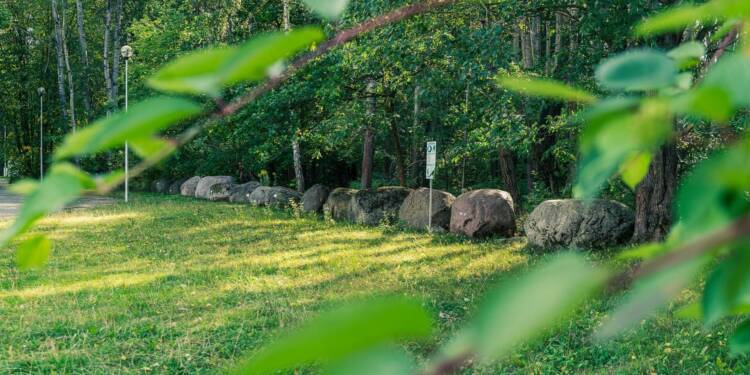 W kampusie UwB powstanie Park Bioróżnorodności 1 kampus