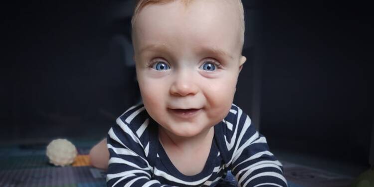 large ecbe0fb6 3dea 49c2 a489 050ef85c8351