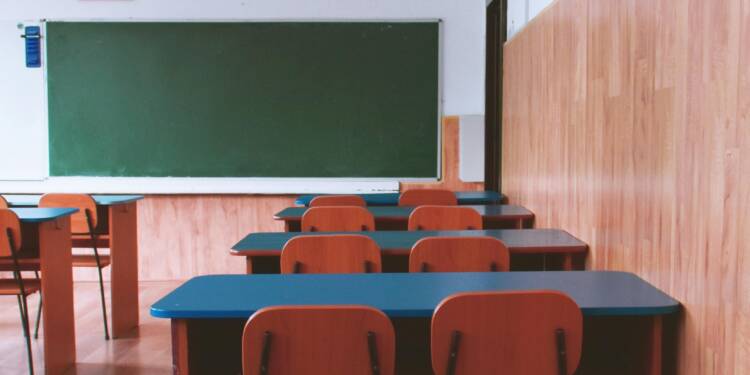 pexels didsss 2675061