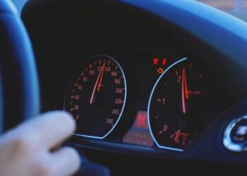 pexels didsss 3791193