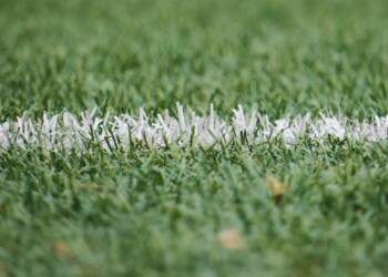 pexels fabtruji 54567