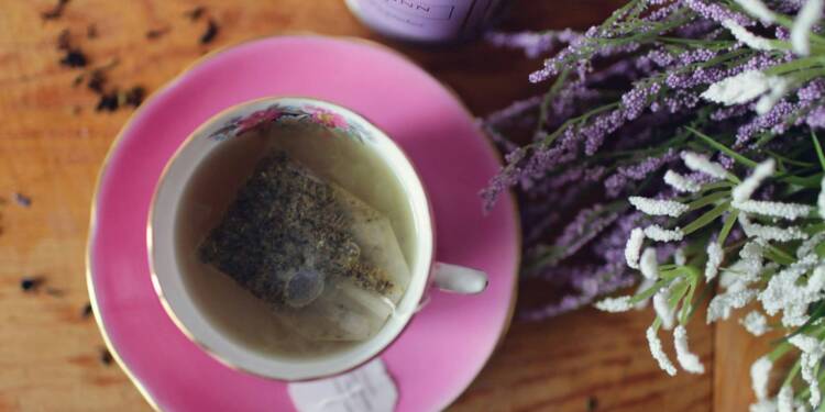 pexels leah newhouse 50725 341514