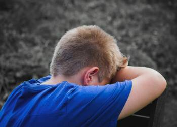 pexels pixabay 256657