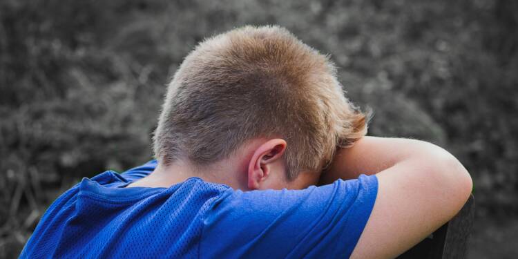 pexels pixabay 256657