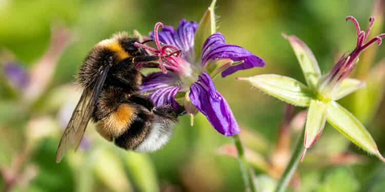 pexels robert schwarz 1488822070 33813475