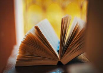 pexels smathur910 2099691