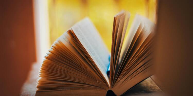 pexels smathur910 2099691