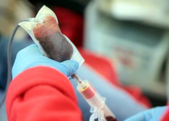 pm krew 101123 003 2 2024 08 19 121156 2025 08 08 171806