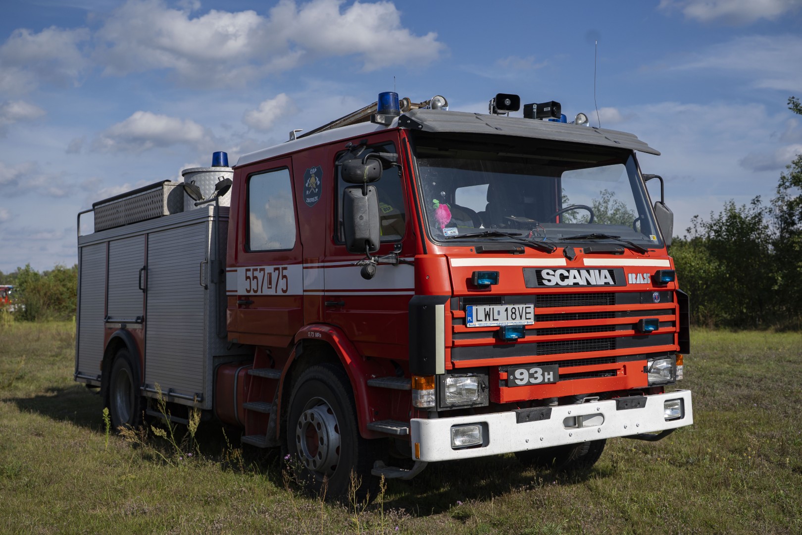 Tajemnicza substancja pod Lublinem. Odpowiedzialne okazały się… ptaki
