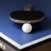 table tennis 4046278 1280