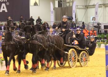 2020-01-30T20:30:39:26 ,  Fot. Piotr Michalski  2020.01.30. LUBLIN . CAVALIADA 2020 . HALOWY PUCHAR POLSKI W POWOZENIU ZAPRZEGAMI CZTEROKONNYMI .
FOT. PIOTR MICHALSKI .