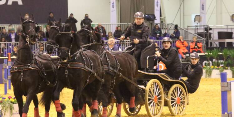 2020-01-30T20:30:39:26 ,  Fot. Piotr Michalski  2020.01.30. LUBLIN . CAVALIADA 2020 . HALOWY PUCHAR POLSKI W POWOZENIU ZAPRZEGAMI CZTEROKONNYMI .
FOT. PIOTR MICHALSKI .