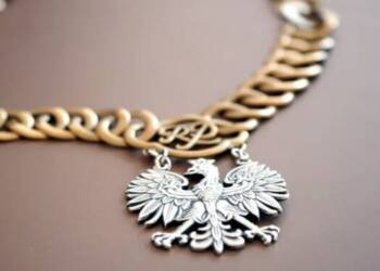 Prokuratura poszukuje podejrzanego o grożenie śmiercią zagranicznym artystom 7 zdj 1 2025 01 17 151312 2025 01 28 124949 750x375 1