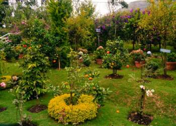 20251009091913 download