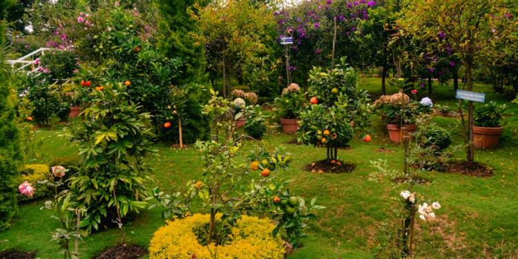 20251009091913 download