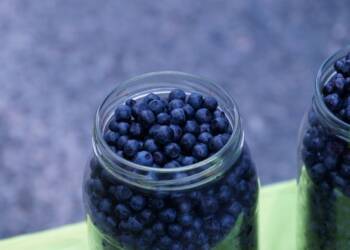 Zanieczyszczone runem leśnym jagody nie wjechały do Polski 7 EAttachments24593514240776ef49e9d37948e60ff042f226b