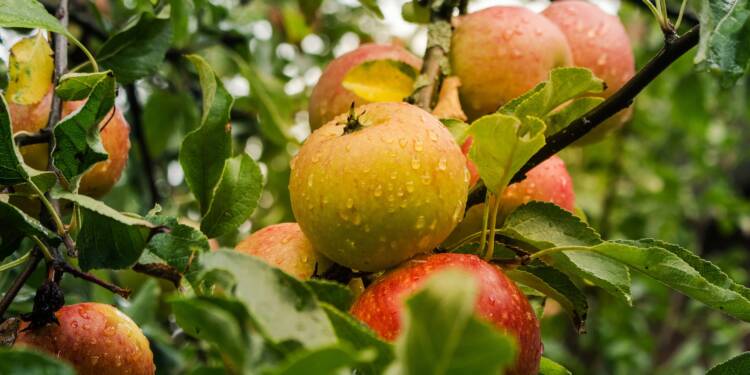 EAttachments423546456cc5c900c5611e2288161db5dfd5b31