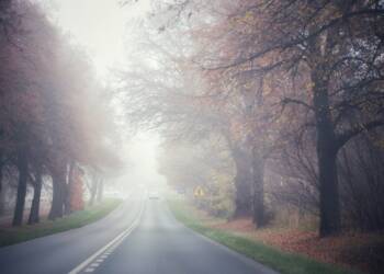 2022.10.27. LUBLIN . PAZDZIERNIKOWA MGLA . FOT. PIOTR MICHALSKI
