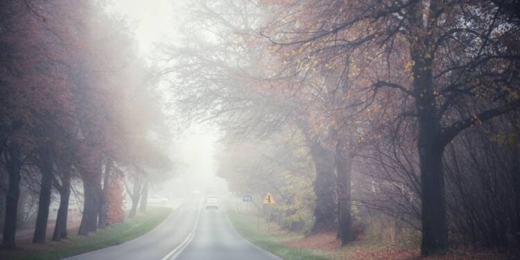 2022.10.27. LUBLIN . PAZDZIERNIKOWA MGLA . FOT. PIOTR MICHALSKI