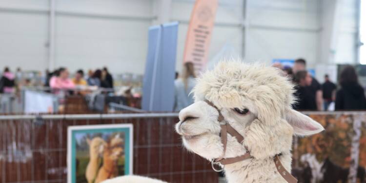 2025-03-08T12:58:37:00 ,  Fot. Piotr Michalski 
2025.03.08. LUBLIN . MTL . ZOOPARK .
FOT. PIOTR MICHALSKI