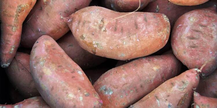 EAttachments8988972d4d38bbba4f0491ec66cfb906f1295a8 xl