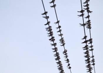 EAttachments899411582ac75795b403cf8714ba8fdf219844b xl