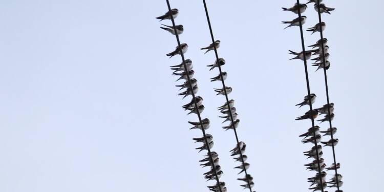 EAttachments899411582ac75795b403cf8714ba8fdf219844b xl