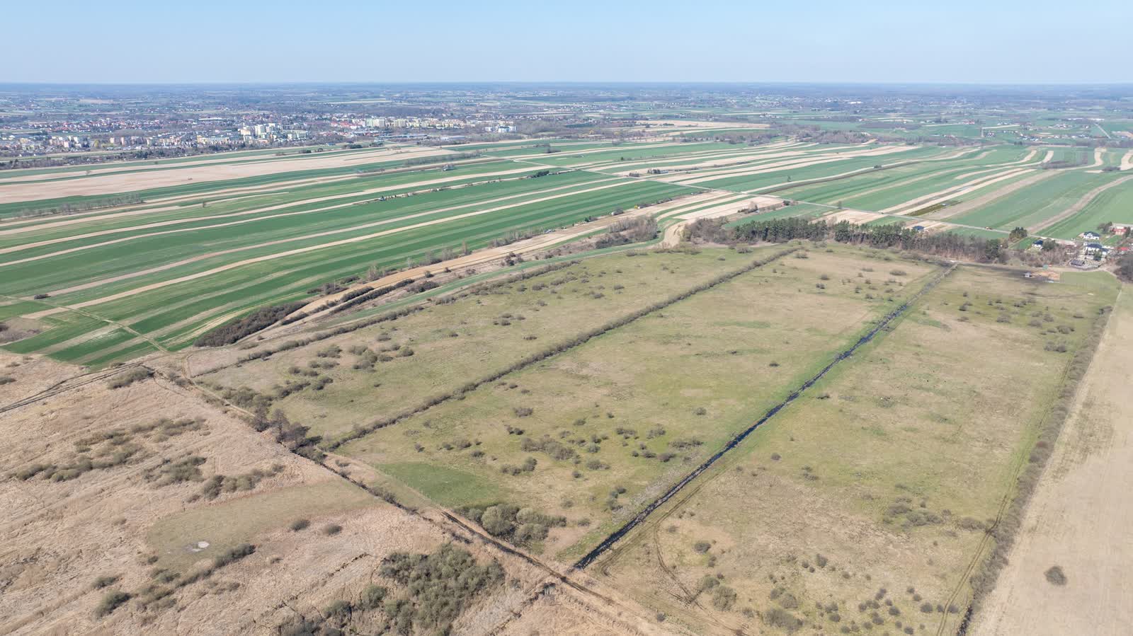 Przyroda z bliska. Spacer wśród błot i ptaków na łęczyńskich torfowiskach