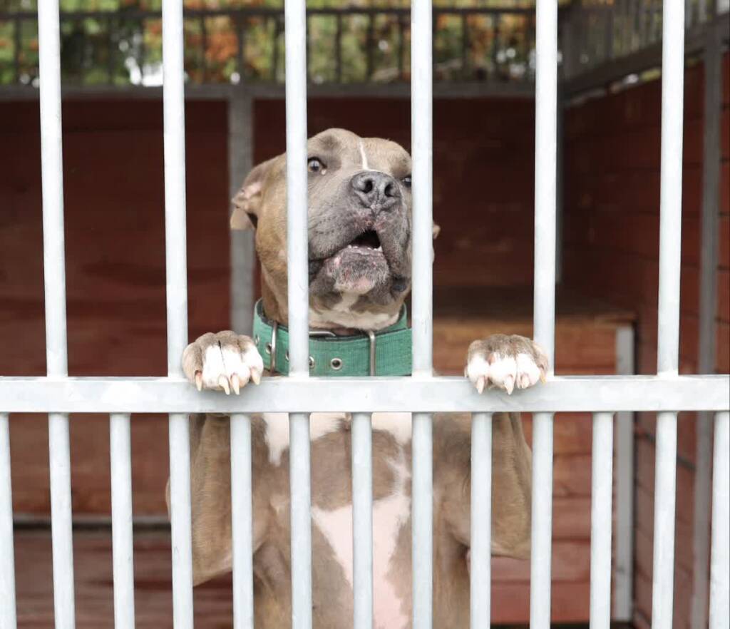 EAttachments899509135af4a149cc7cd1e0f6070042a249414 xl 1