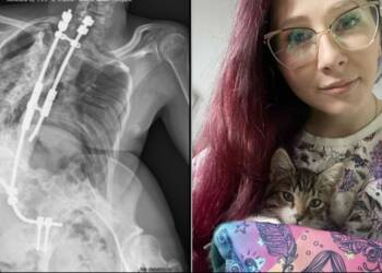 EAttachments8995564b6ac4d3caa681bee8cf93f9e55875fda xl