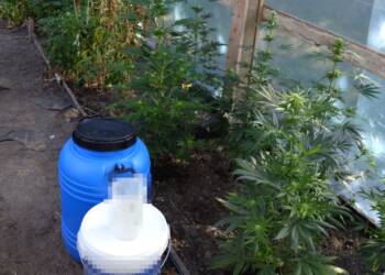 EAttachments8995783f088b64a136e9cd6c388efc681671488 xl