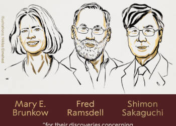 EAttachments89976915b91d05510cba7047c68f1a2649f78e6 xl