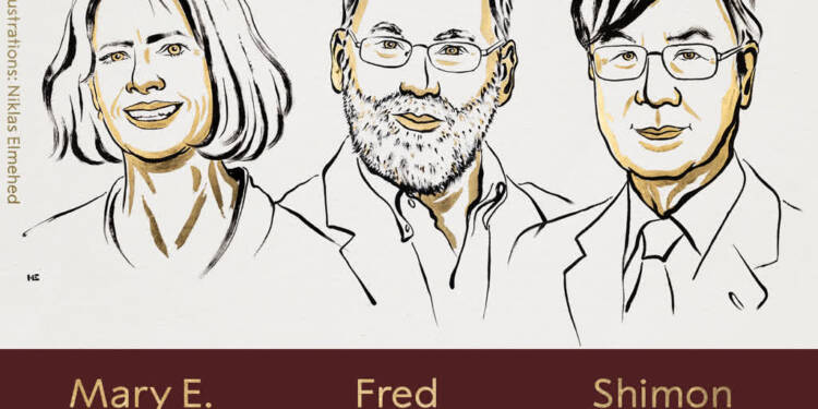 EAttachments89976915b91d05510cba7047c68f1a2649f78e6 xl