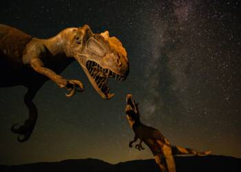 EAttachments899964573ea7d9e3637adcc3cdf325248ba1a6f xl