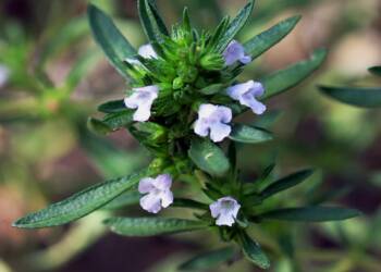 EAttachments899965564c96aff9ae104ec7757cb8ea4d4233f xl