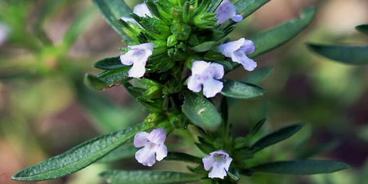 EAttachments899965564c96aff9ae104ec7757cb8ea4d4233f xl