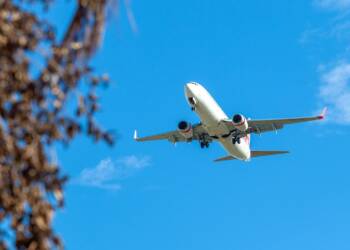 EAttachments9000473ce75e012856c64b602a47f44d19ddaf2 xl