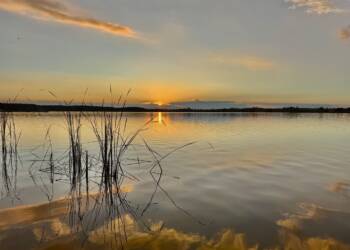 EAttachments90010095abbf4f02a0d477cfc8c07927fbbe354 xl