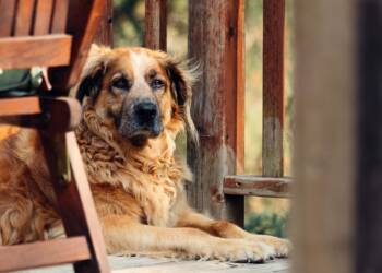 EAttachments90013449a564d004eeade6cc69391d573286424 xl