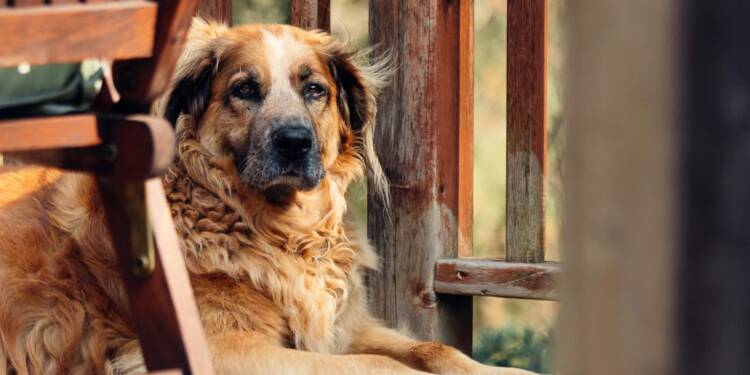 EAttachments90013449a564d004eeade6cc69391d573286424 xl