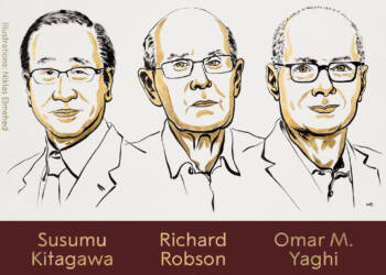 EAttachments9001887b499fc323923071e3079b4dd9f308586 xl