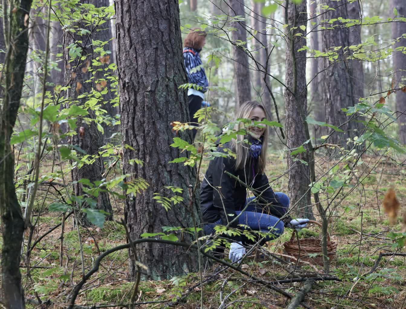Jak bezpiecznie zbierać grzyby? [ZDJĘCIA, FILM]