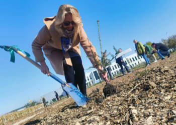 EAttachments90026908efbb36abce1de90cb15c528c6f4fe58 xl